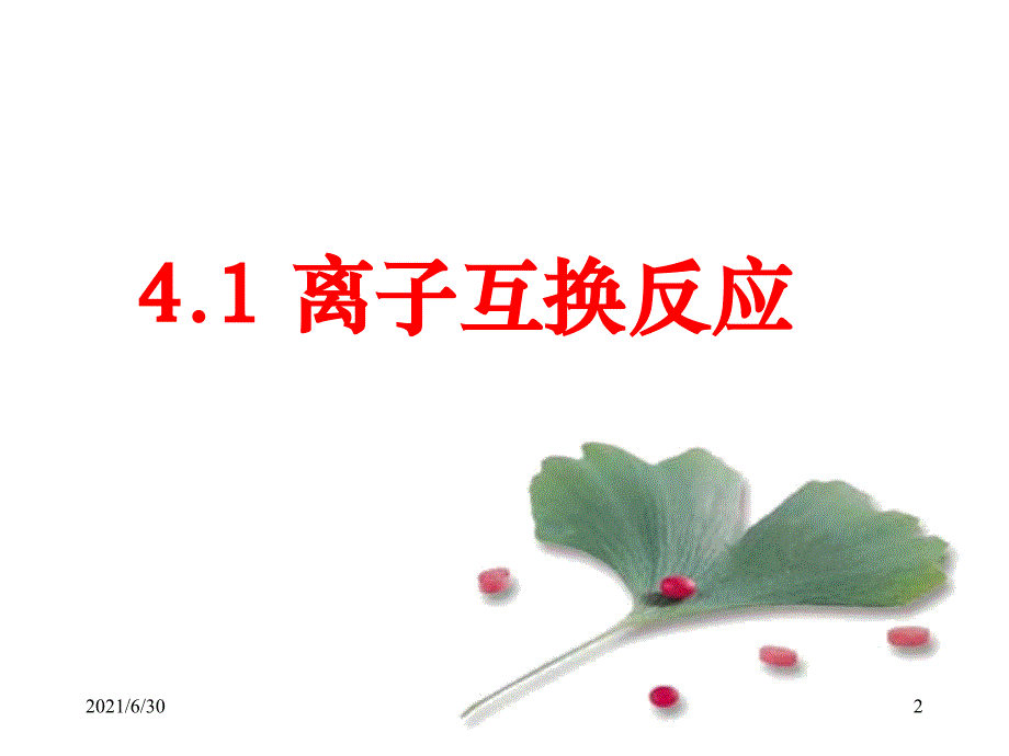 4.1离子互换反应d_第2页