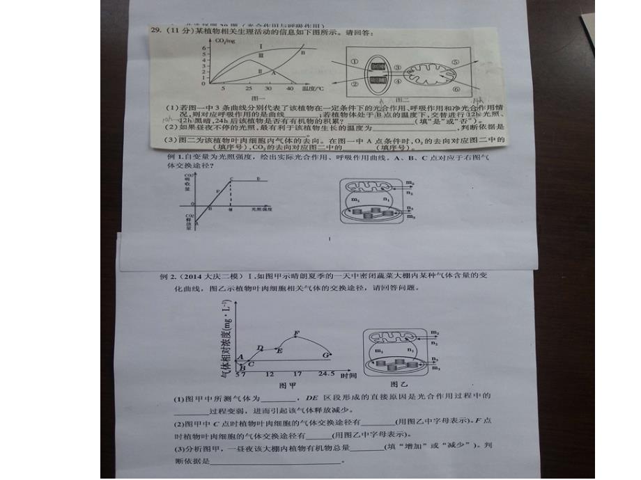 种群、群落、生态系统_第2页