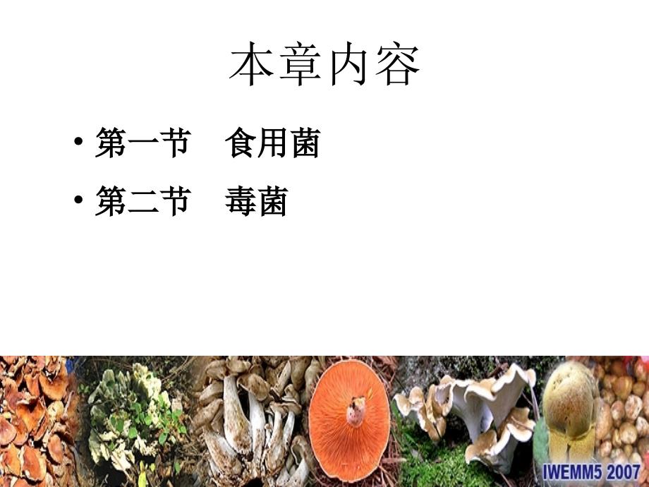 大真菌ppt课件_第4页