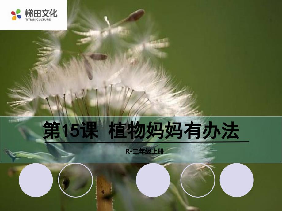 2年级语文上册s版课件15植物妈妈有办法_第1页