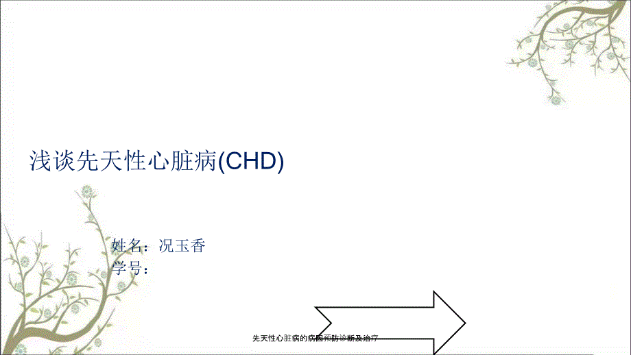 先天性心脏病的病因预防诊断及治疗_第1页