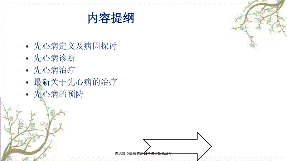 先天性心脏病的病因预防诊断及治疗_第2页