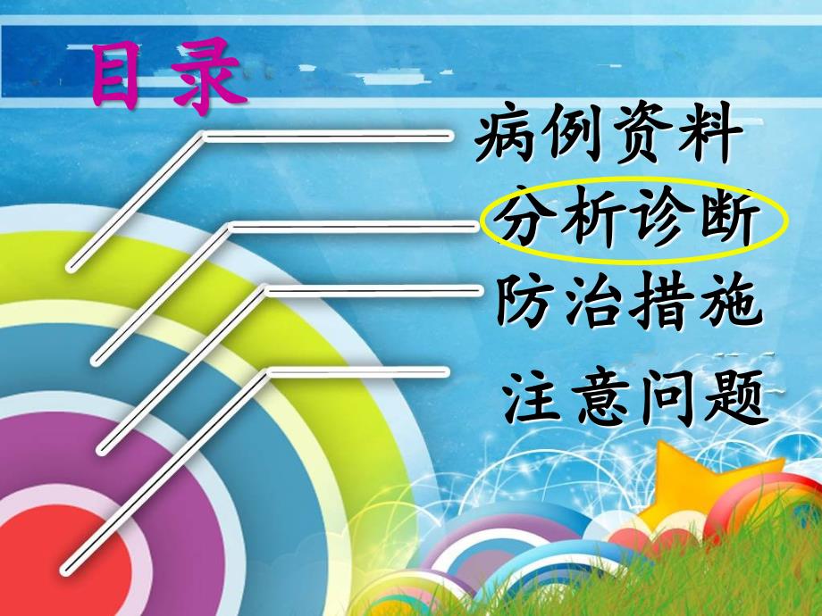 细粒棘球绦虫病例.ppt_第2页