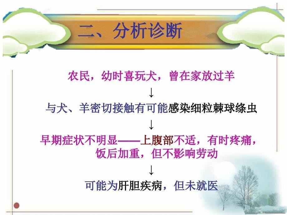 细粒棘球绦虫病例.ppt_第5页