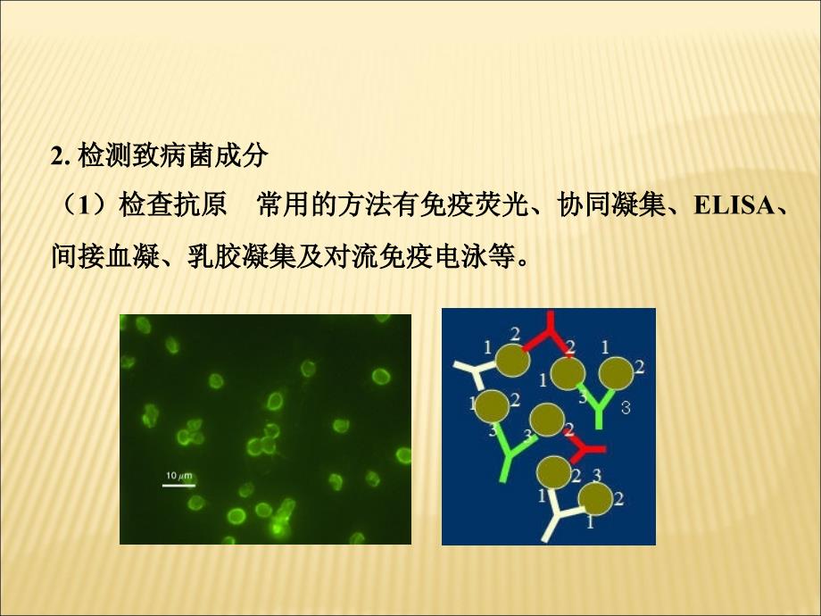 医学微生物7章_第4页