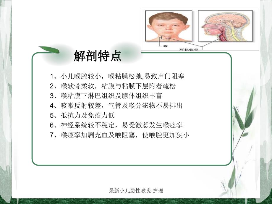 急性喉炎课件急性喉炎护理课件_第3页