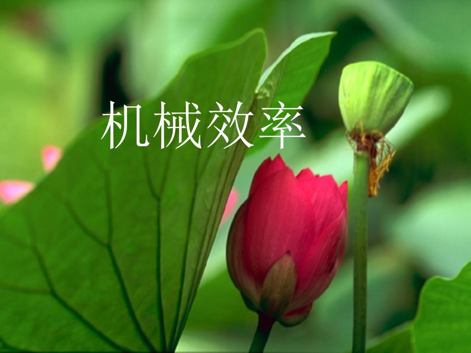 机械效率 (2)_第1页