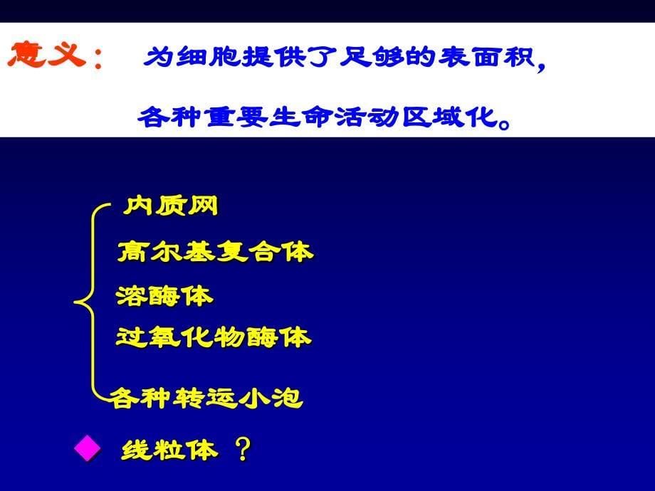 细胞生物学：内质网_第5页