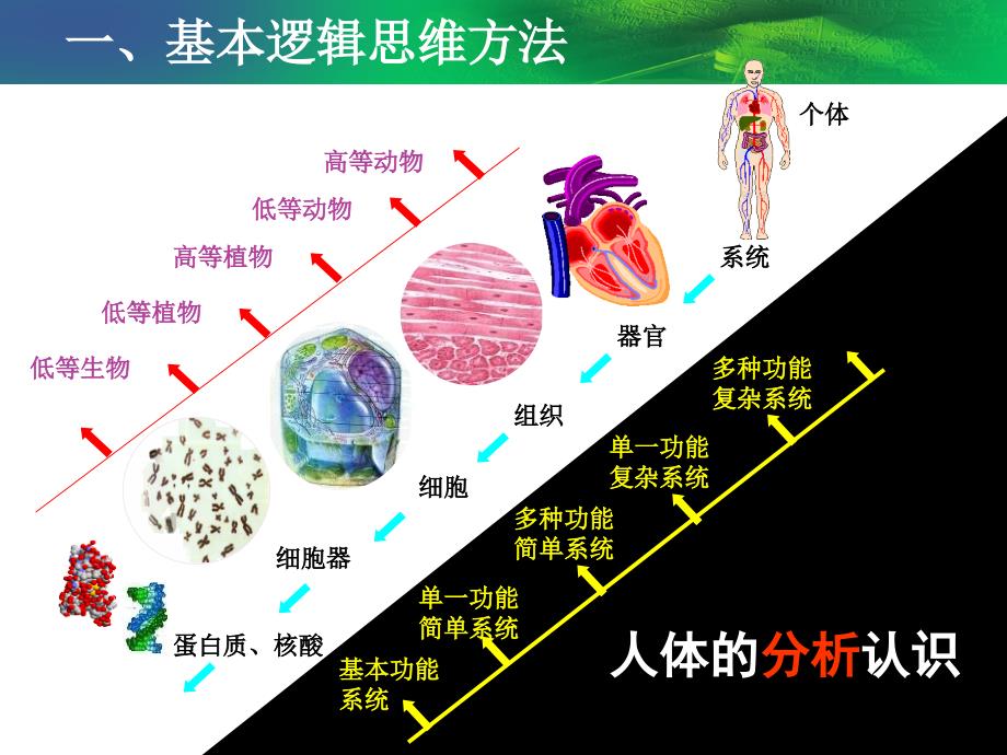 科学思维方法与科学理论第2讲课件_第2页