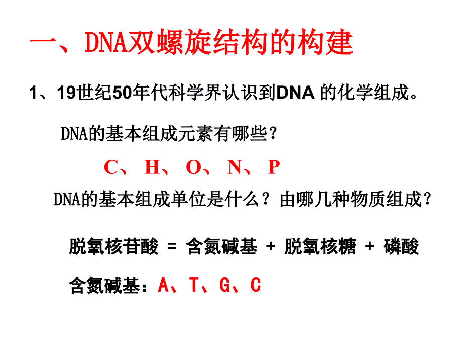 DNA分子结构 (2)_第3页