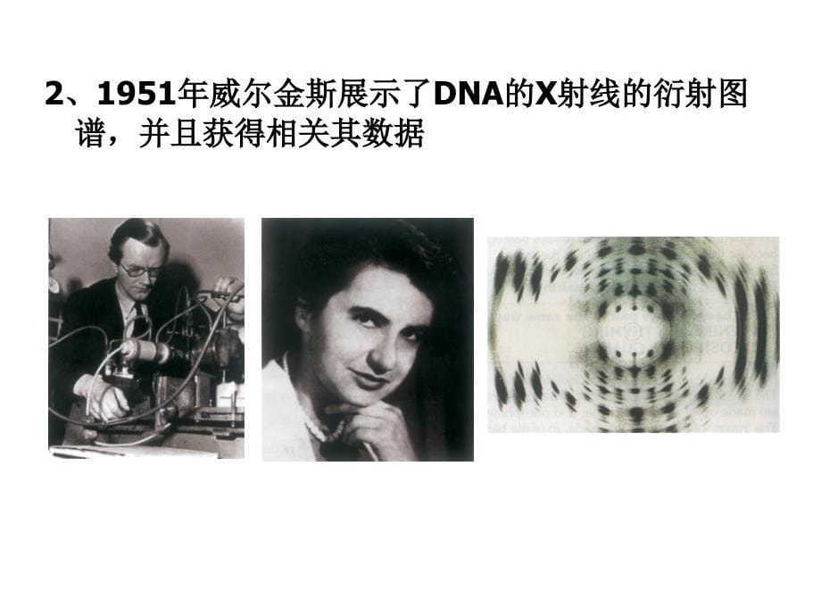 DNA分子结构 (2)_第5页