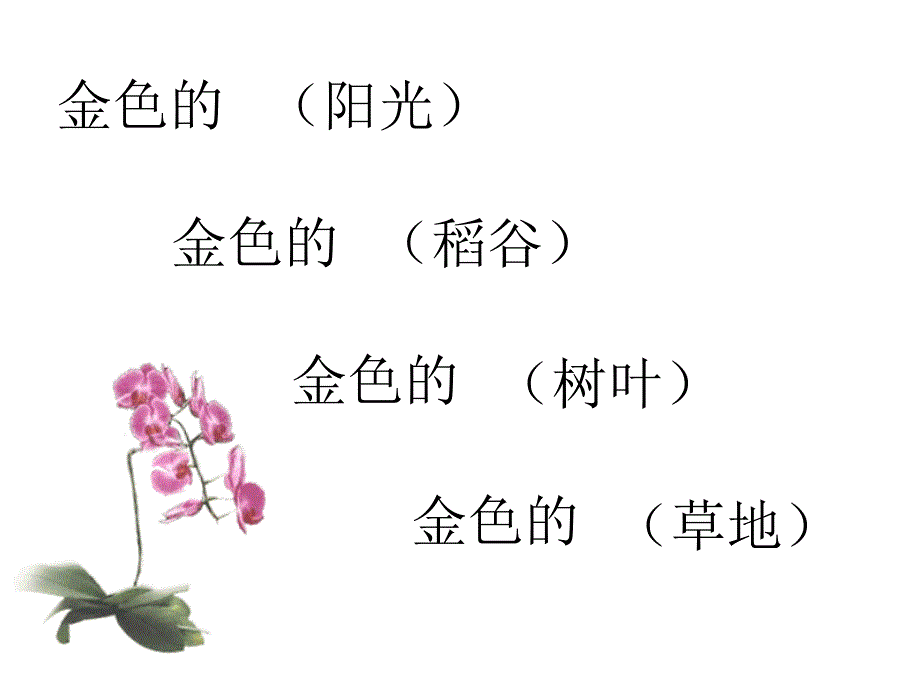 2金色的草地》_第2页