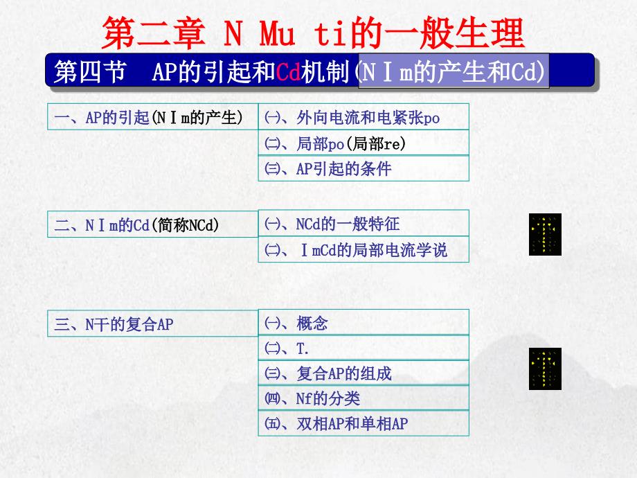 神经肌肉组织的一般生理_第2页