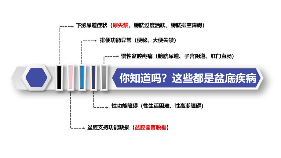 盆底疾病“早”知道.ppt_第3页