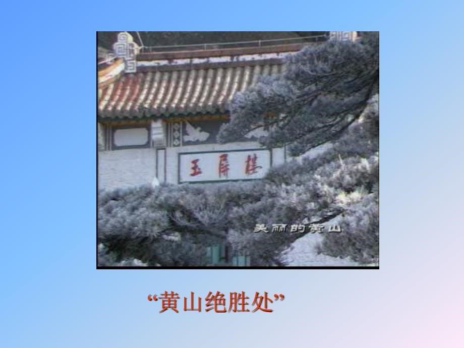 《黄山奇松》课件_第5页