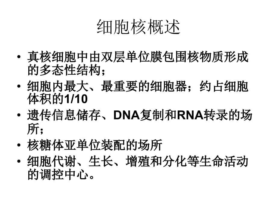 医学细胞生物学课件：5 nucleus_第5页