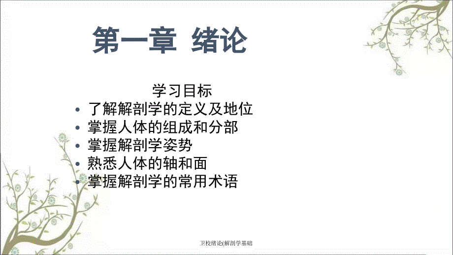 卫校绪论解剖学基础课件_第3页