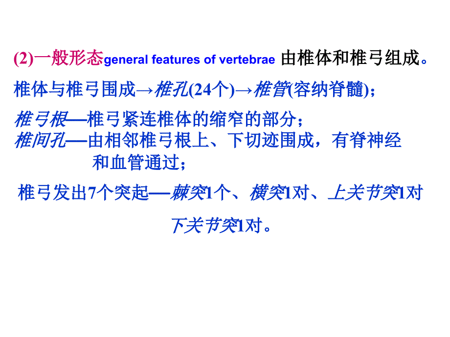 (医学课件)躯干骨及其连结、颅骨及其连结PPT演示课件_第4页