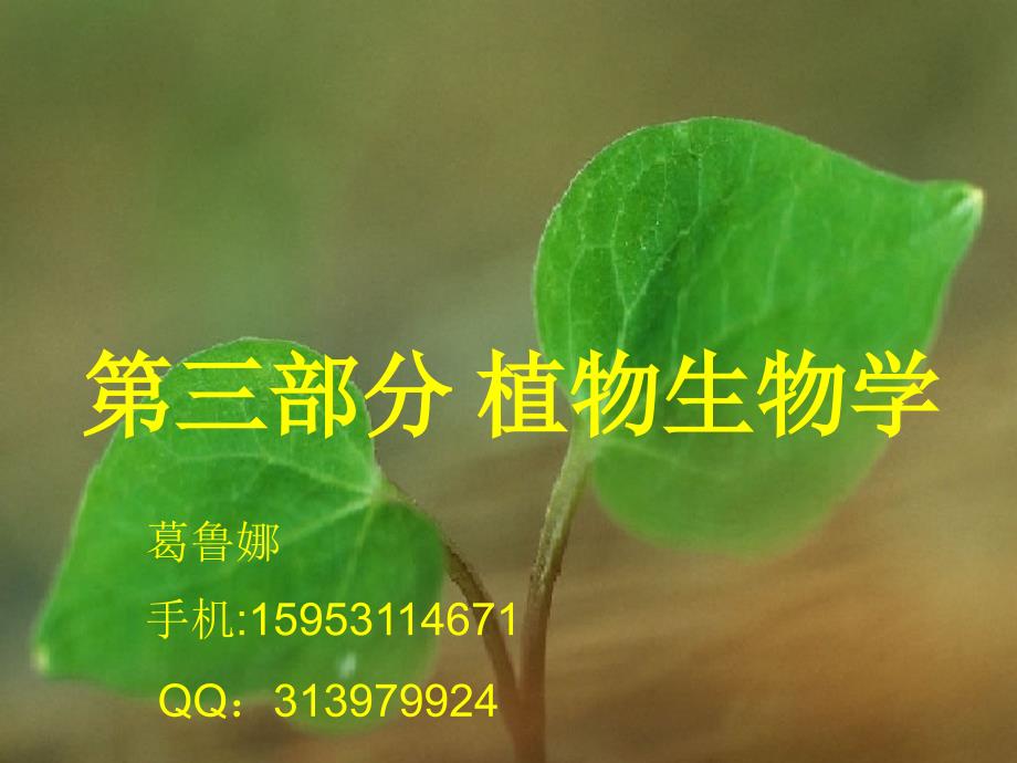 植物的组织与器官PPT课件_第1页