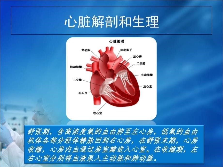 第18章心血管疾病的生物化学诊断人卫_第5页