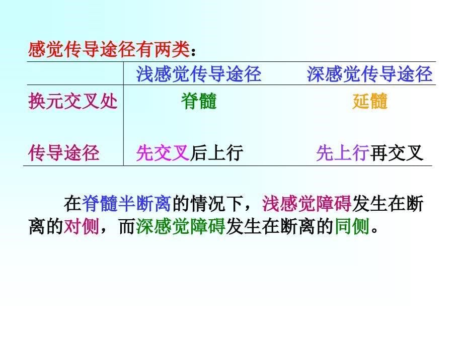 第二部分神经系统的感觉分析功能_第5页