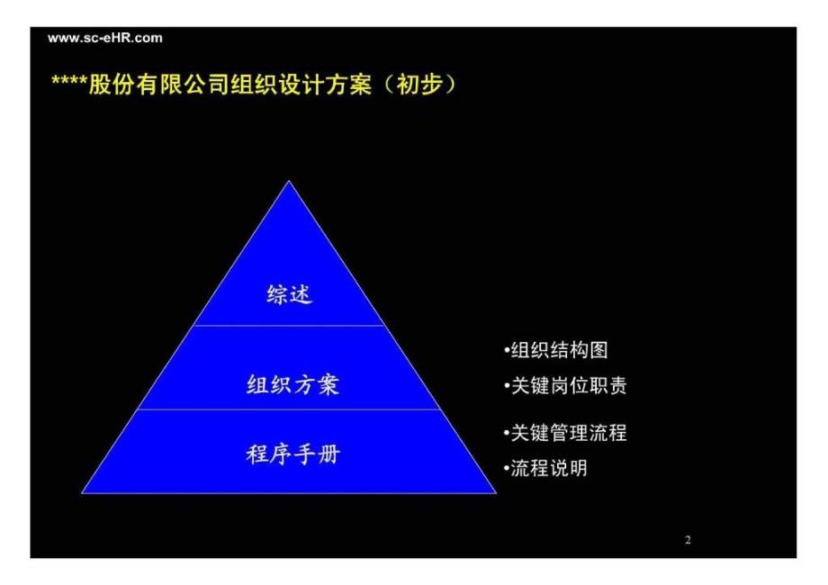 企业管理整合咨询报告_第2页