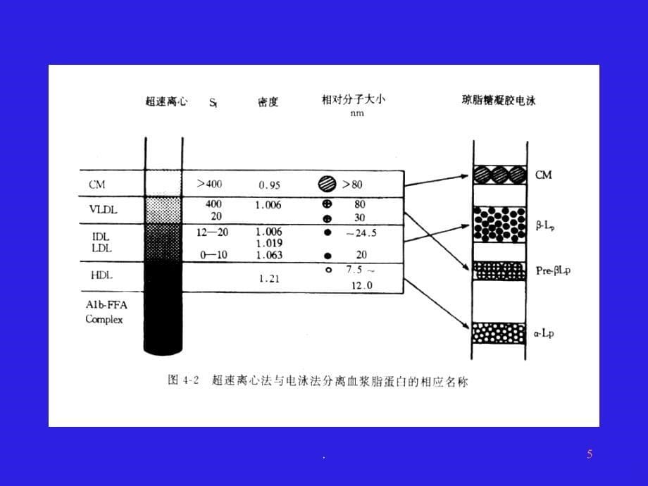 高脂血症及治疗课件_第5页