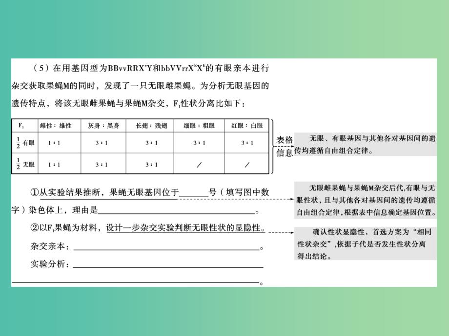 高考生物二轮专题复习 体系通关2 高频考点2 孟德尔定律、伴性遗传及人类遗传病课件.ppt_第3页