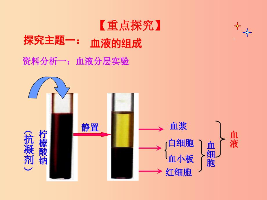 2019版七年级生物下册第四单元生物圈中的人第四章人体内物质的运输1流动的组织─血液教学课件新人教版.ppt_第4页