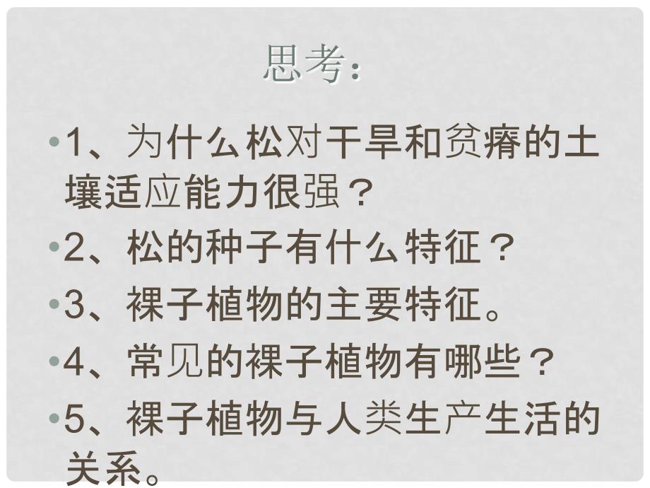 七年级生物上册 第三章 形形色色的植物《裸子植物》课件 （新版）冀教版_第1页