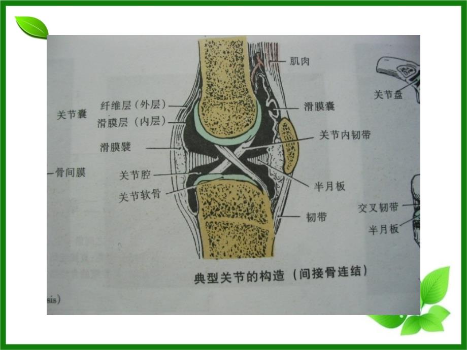 关节活动度训练（行业荟萃）_第4页