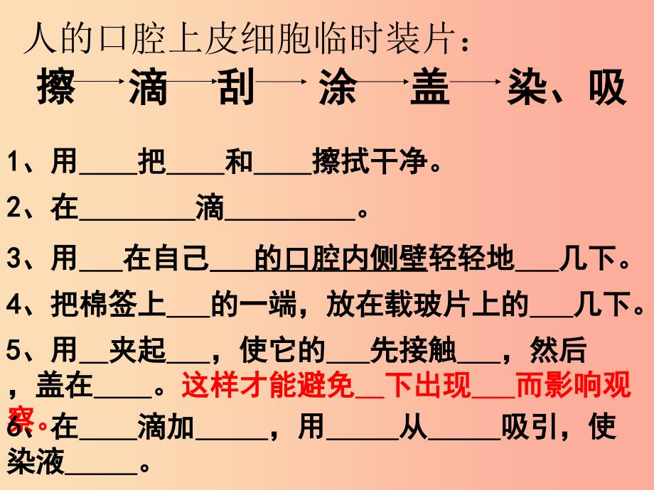 山东省威海市文登区实验鲁中学六年级生物上册 2.1.3 观察动物细胞（第1课时）课件 鲁科版五四制.ppt_第4页