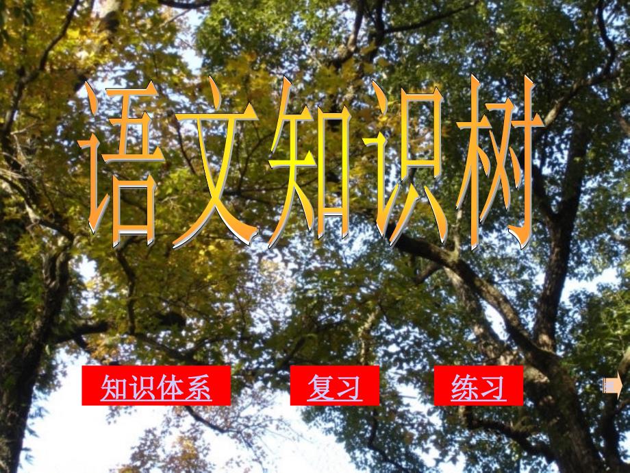 中考语文知识树课件人教新课标版.ppt_第1页