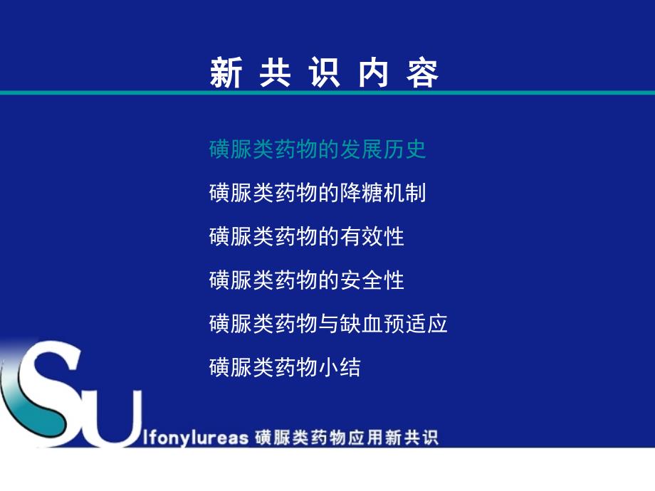 磺脲类应用新共识PPT课件_第1页
