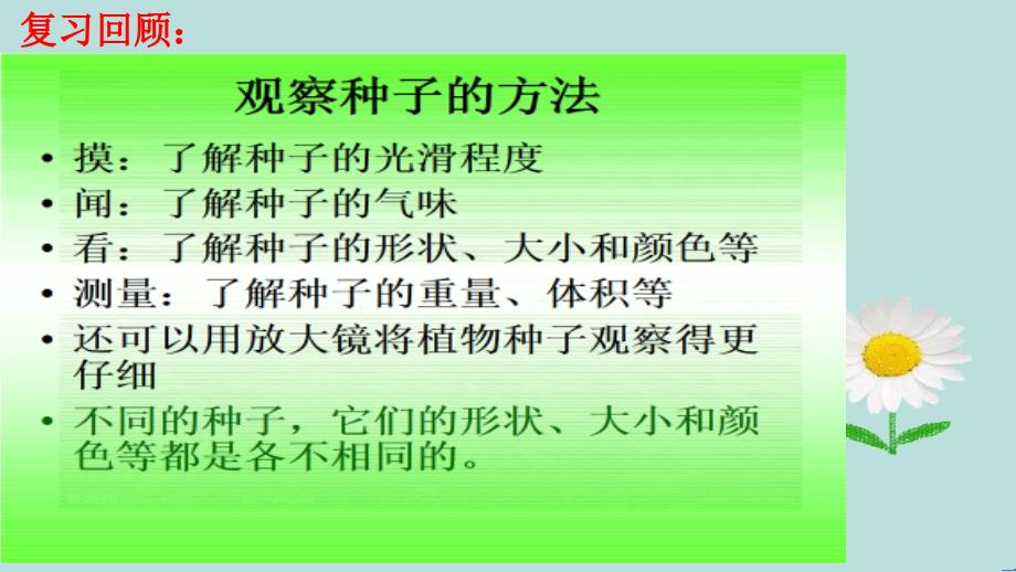 三年级科学下册植物的生长变化2种植我们的植物课件1教科版教科版小学三年级下册自然科学课件_第3页