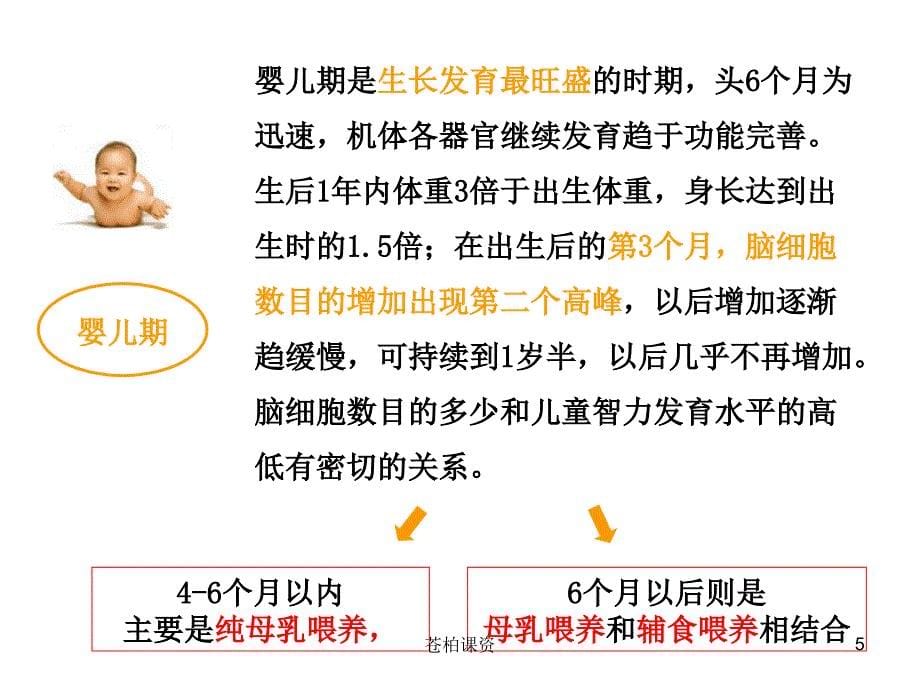 婴幼儿营养【专业教学】_第5页