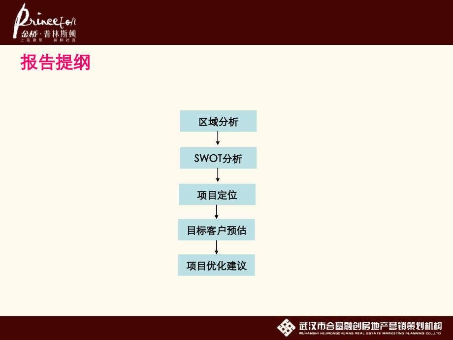 武汉金桥普林斯顿全程营销方案62p_第2页