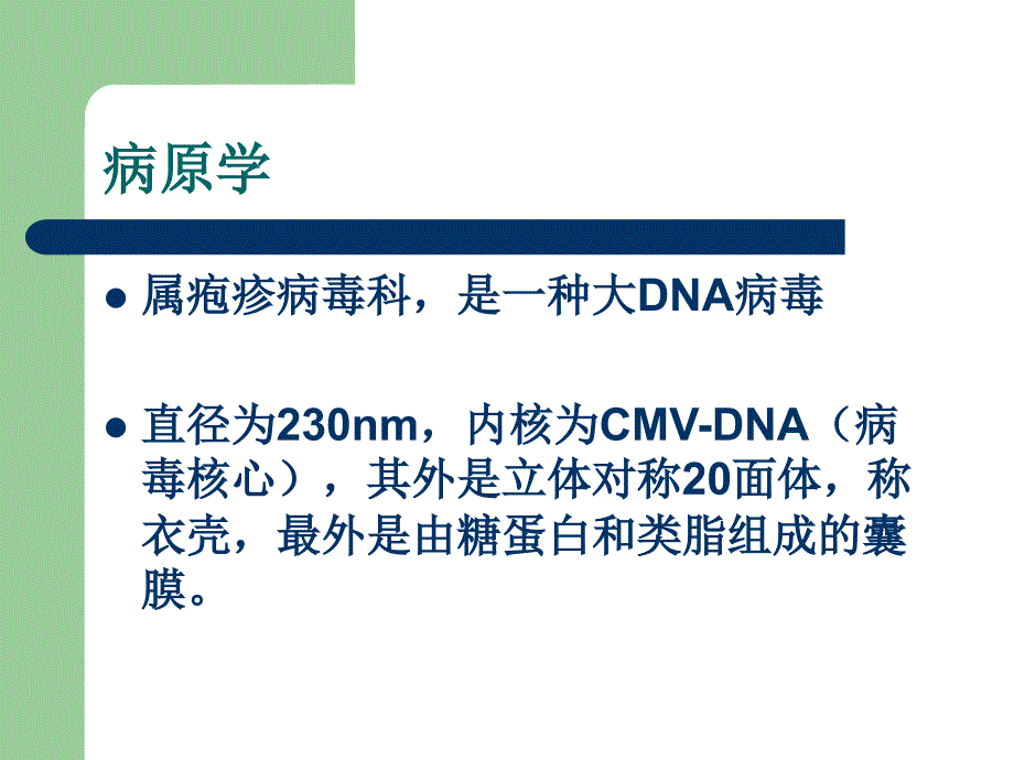 巨细胞病毒感染_第4页