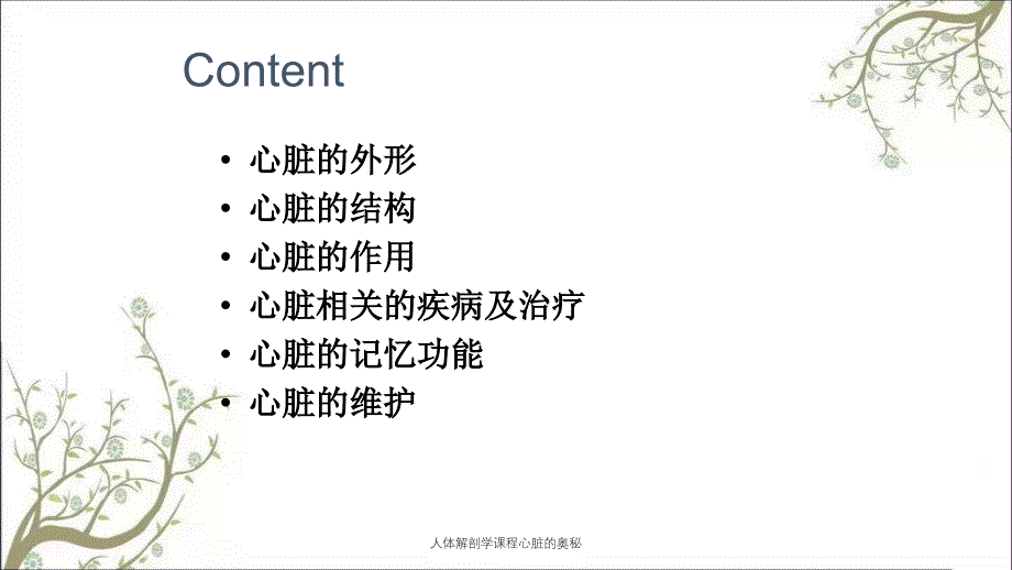 人体解剖学课程心脏的奥秘_第2页