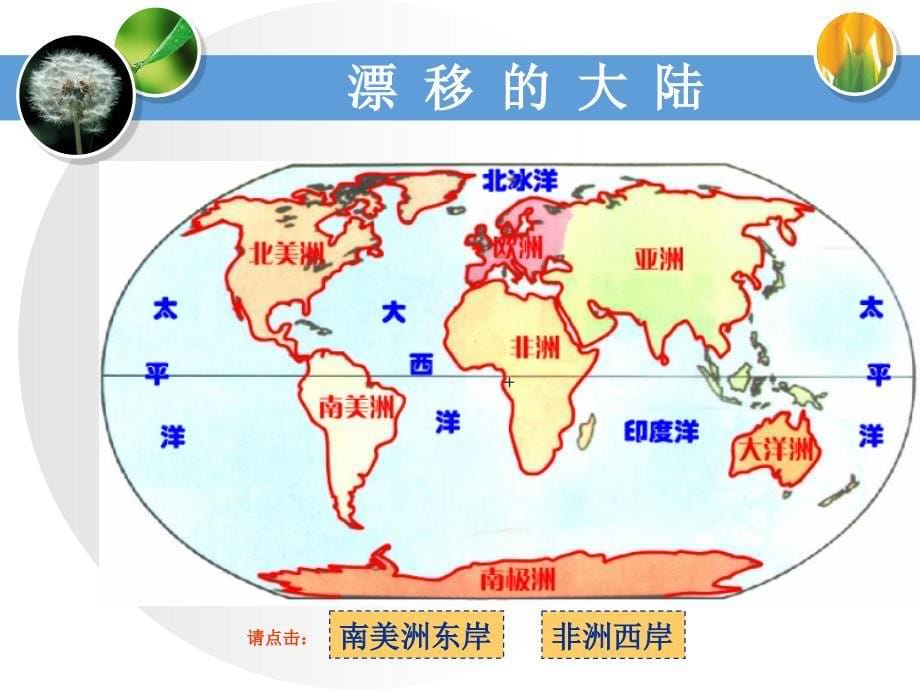 6　漂移的大陆教学课件_第5页