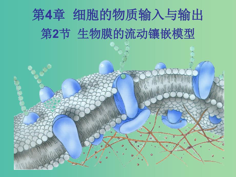 江西省吉安县高中生物第四章细胞的物质输入和输出4.2生物膜的流动镶嵌模型课件新人教版必修1 .ppt_第1页