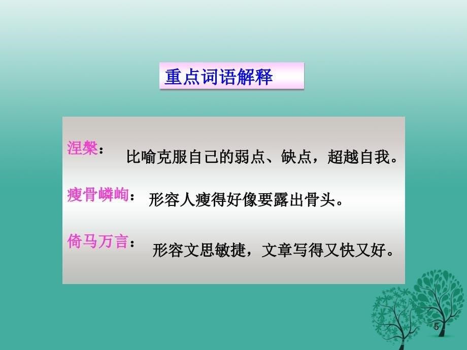 九年级语文上册 14《给儿子的一封信》课件 语文版1_第5页