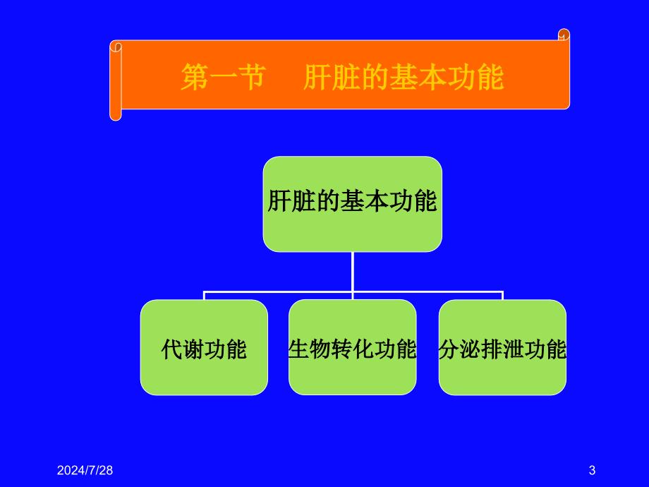 肝功能临床医学_第3页