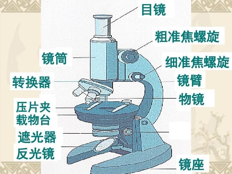 细胞多样性和统一性课件_第5页