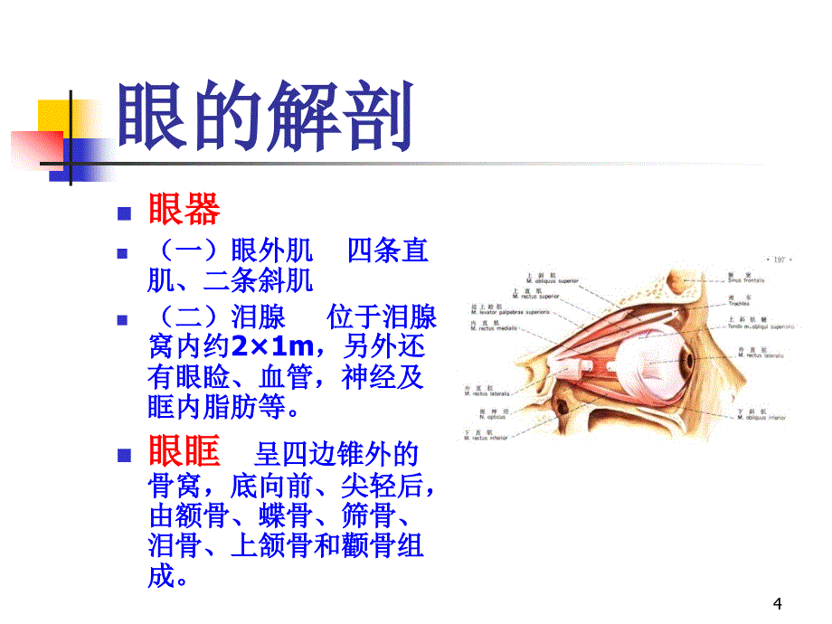 眼球超声ppt课件_第4页