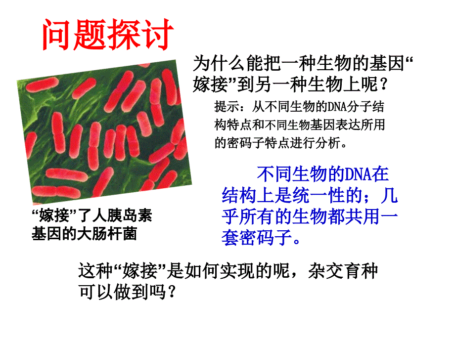 基因工程及其应用课件_第4页