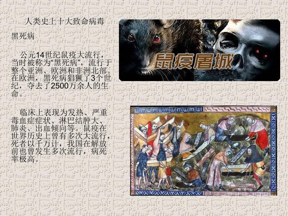 历史10大病毒_第1页