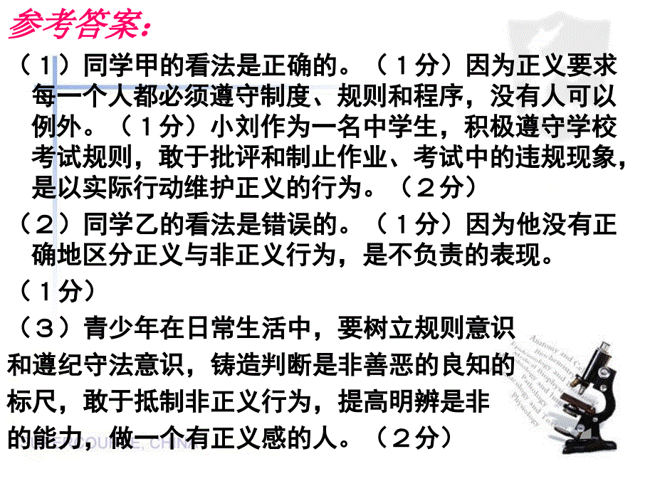 辨析题解题分析PPT_第4页