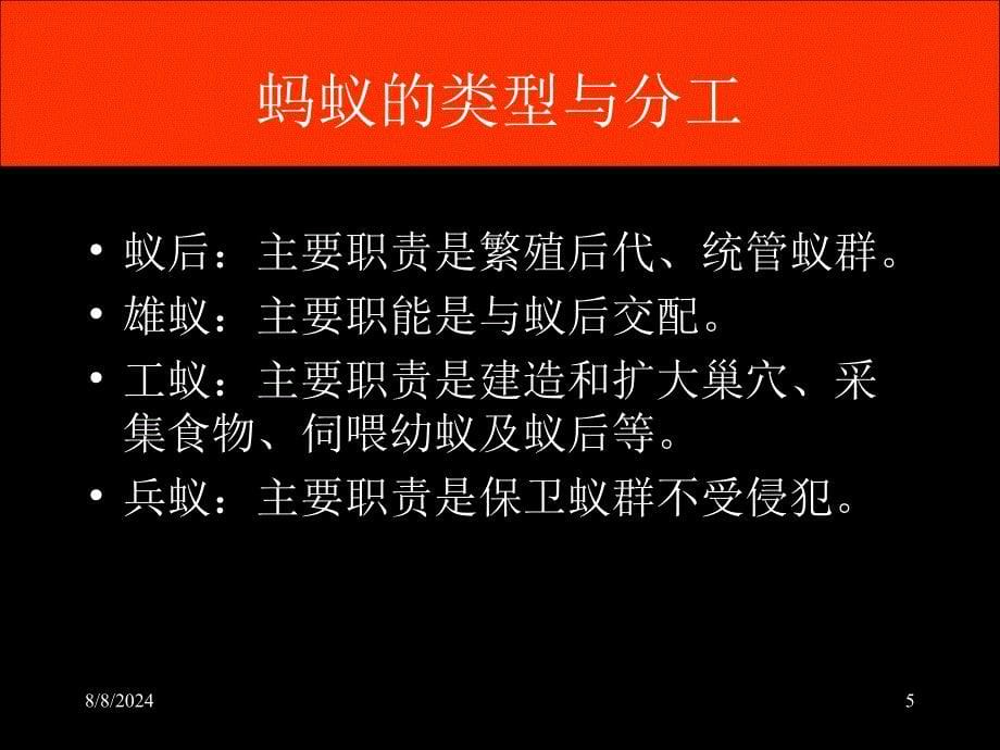 打造高绩效团队提升核心竞争力ppt课件_第5页