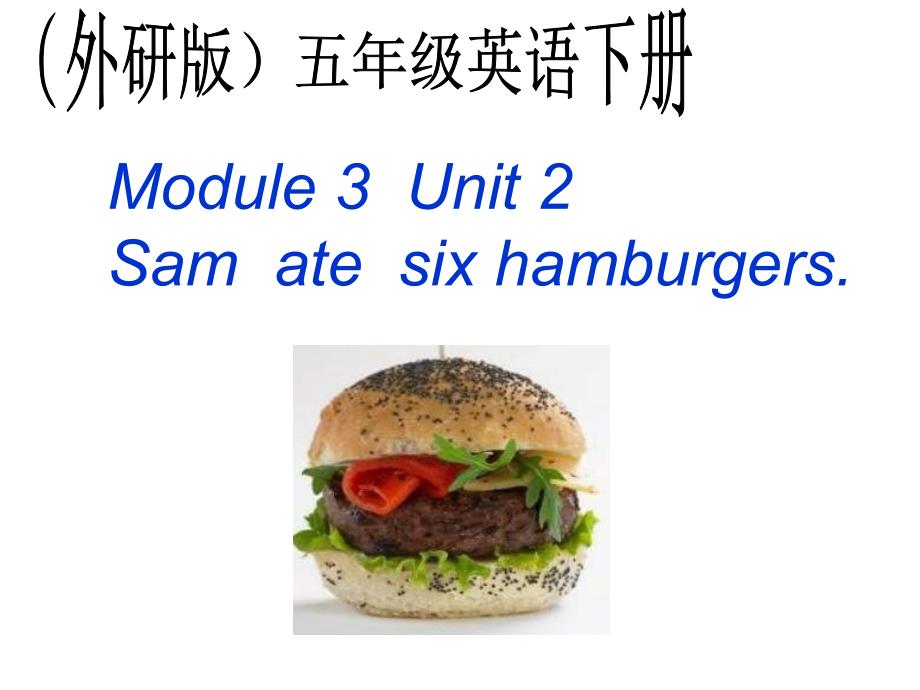 外研一起小学英语五下Module3Unit2Youcanusethecomputers.PPT课件_第1页